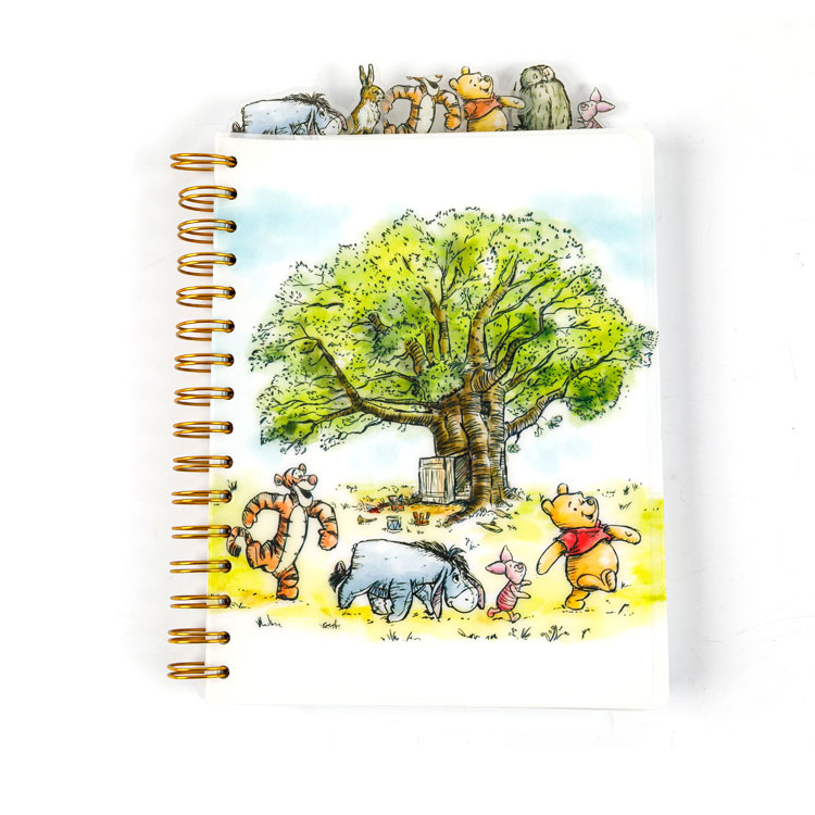 Zergatik dira oraindik espiralezko koadernoak idazteko aukerarik fidagarriena?